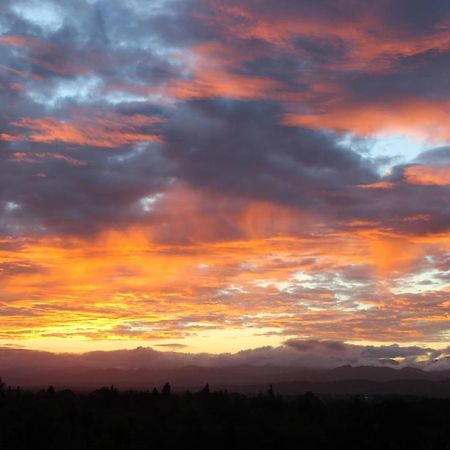 Gallin Farm Alpacas And Farmstay Masterton Exterior foto