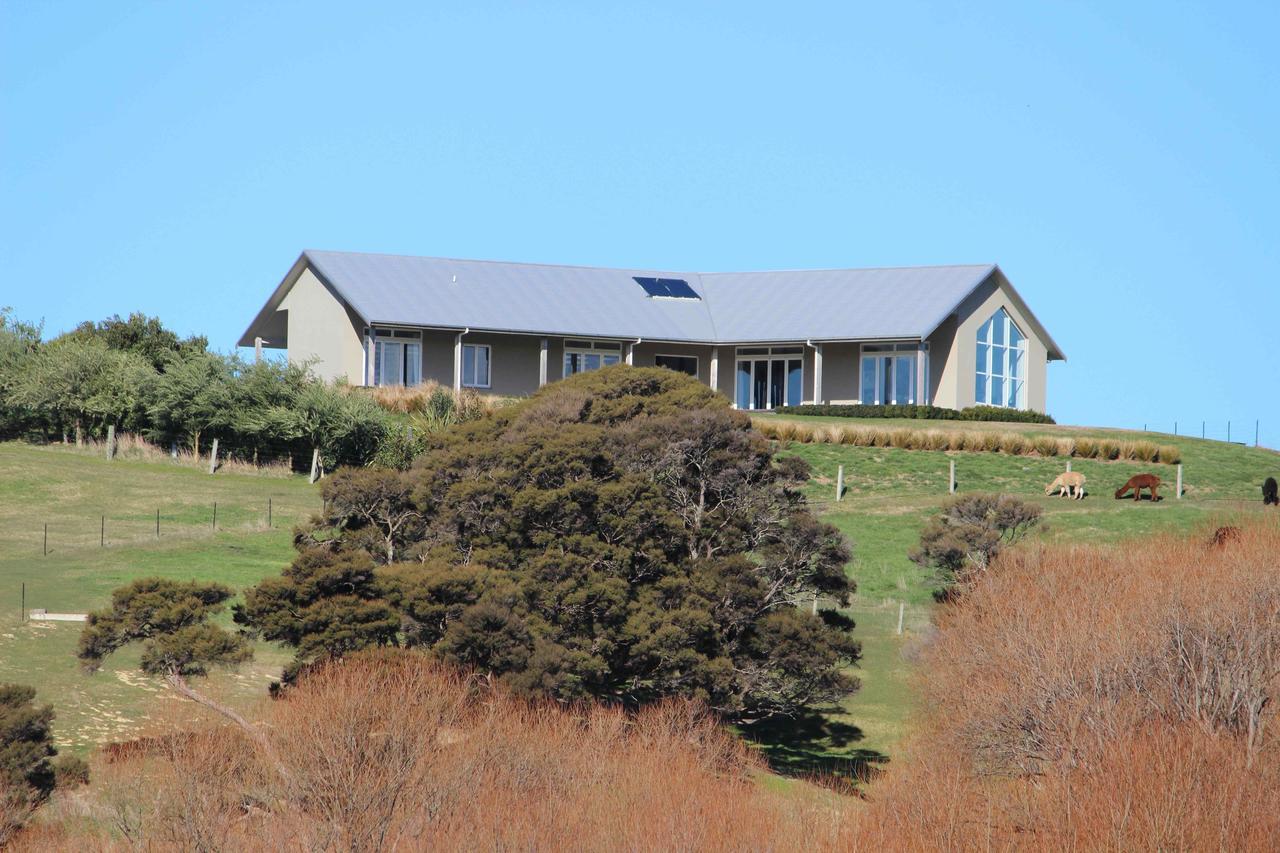 Gallin Farm Alpacas And Farmstay Masterton Exterior foto