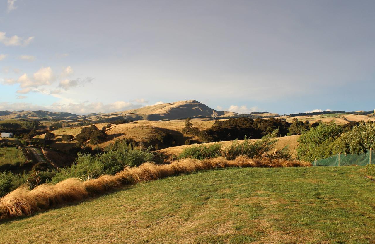 Gallin Farm Alpacas And Farmstay Masterton Exterior foto