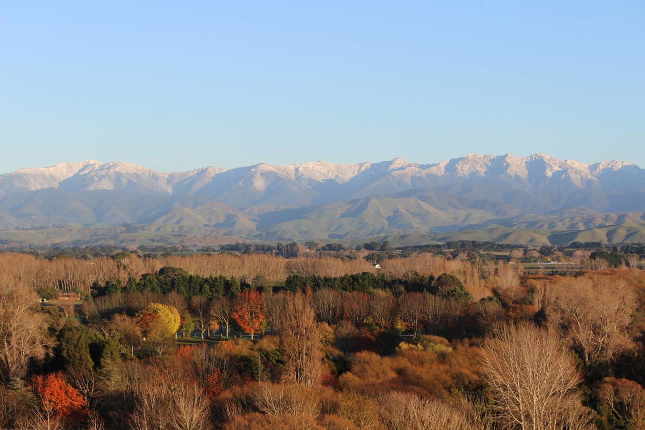 Gallin Farm Alpacas And Farmstay Masterton Exterior foto